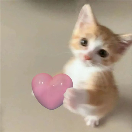 高颜值令人心心恋恋的背景图