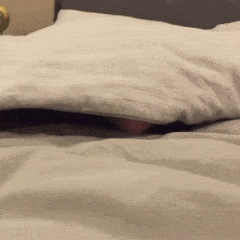 撒娇撩人可爱动态微信表情包