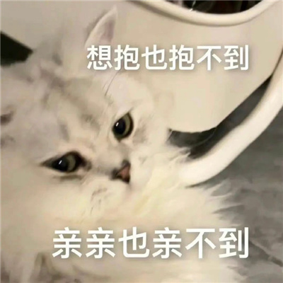 最热门表情包超级赞