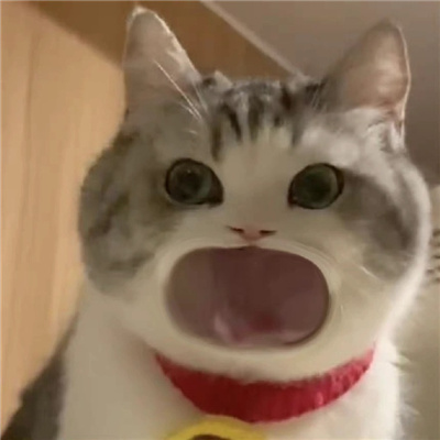 有趣搞怪的大嘴猫表情包