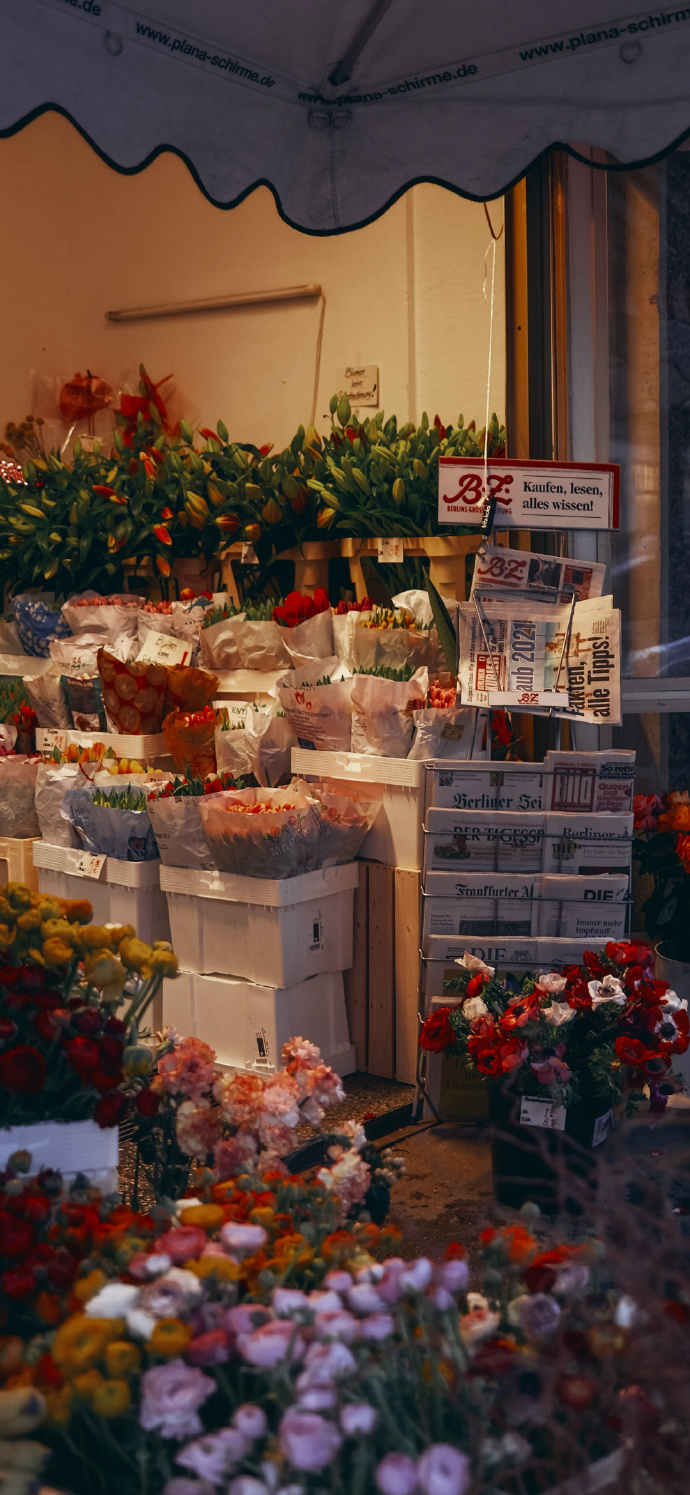 春天治愈风光微信朋友圈配图