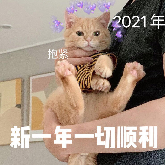 2021新一年的愿望祝愿微信表情包
