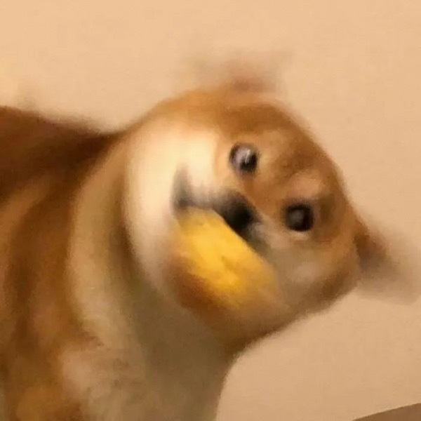 趣味搞怪个性微信头像