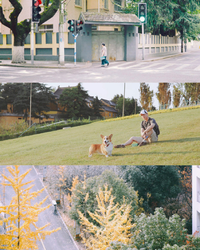 治愈三屏的春天微信聊天背景图