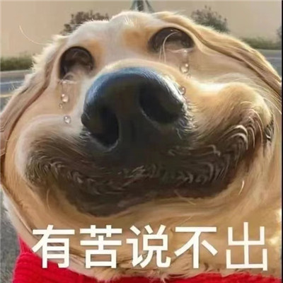 大冤种表情包合集