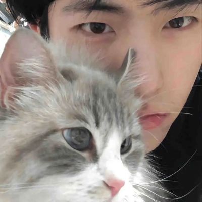 很有氛围感又甜美的情头