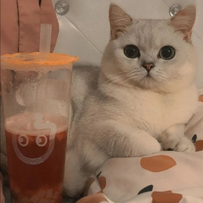 可爱鼓励的微信朋友圈背景图