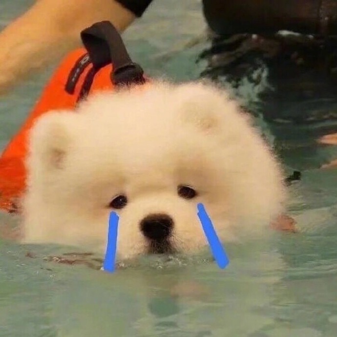 可爱萌萌哒的微信头像