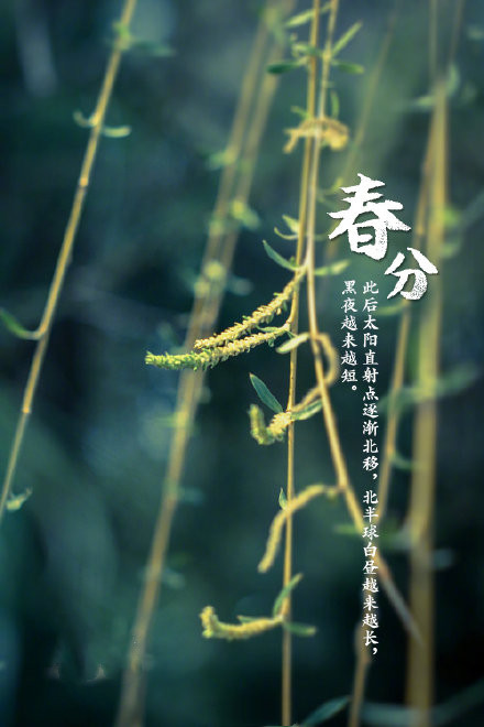 春分好看的微信素材图片