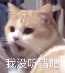 可爱呆萌怼人文字微信表情包