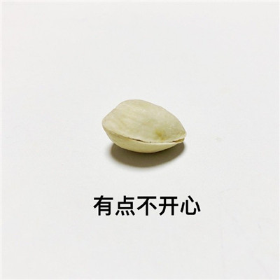 开心果的不同有趣解读微信表情包