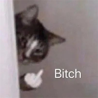 看一眼就会偷偷保存的表情