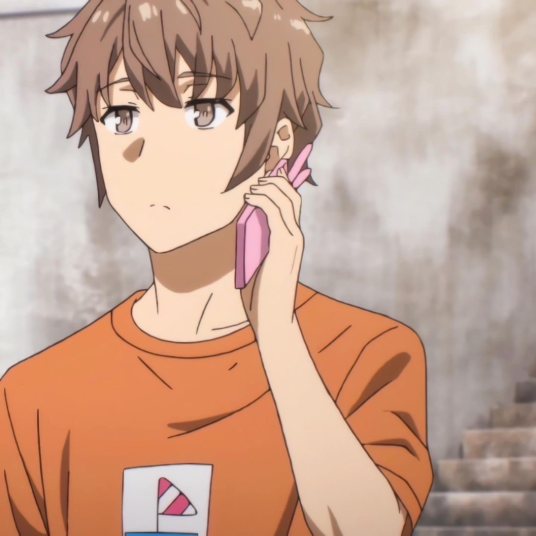 《青春猪头少年不会梦到兔女郎学姐》樱岛麻衣&梓川咲太情侣微信头像