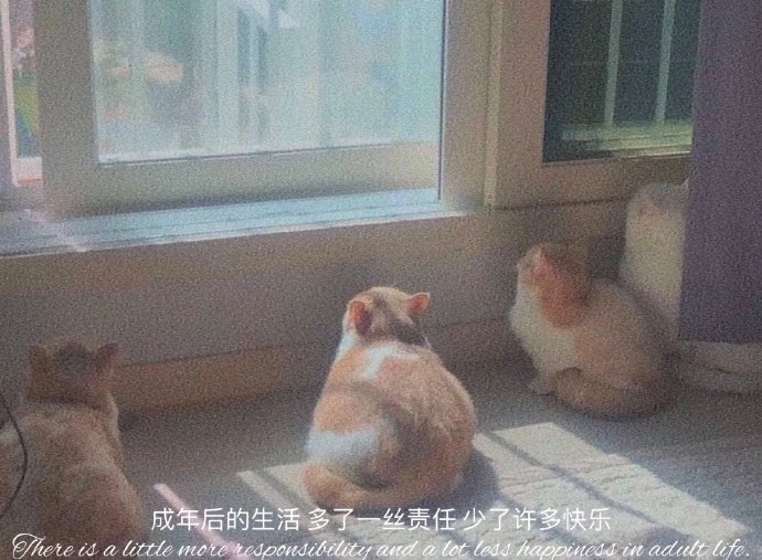 森系唯美风景微信背景图