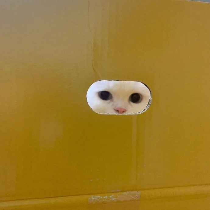 奇奇怪怪的搞怪个性微信头像