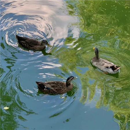 高清好看的温柔背景图