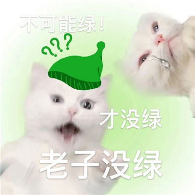 超级萌宠的小猫咪表情包