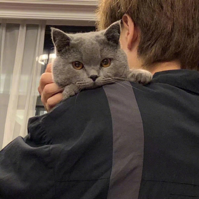 逗猫的可爱女生微信头像