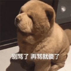 新颖沙雕可爱微信表情包