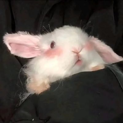 超甜恩爱情侣头像