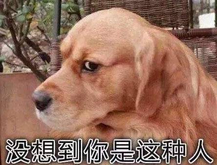 最新日常聊天沙雕微信表情包