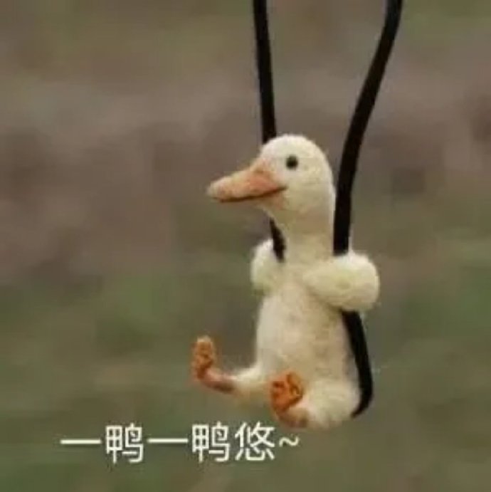 小可爱鸭子微信表情包