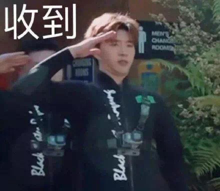 群聊回复收到专用微信表情包