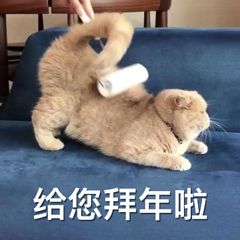 沙雕拜年微信表情包