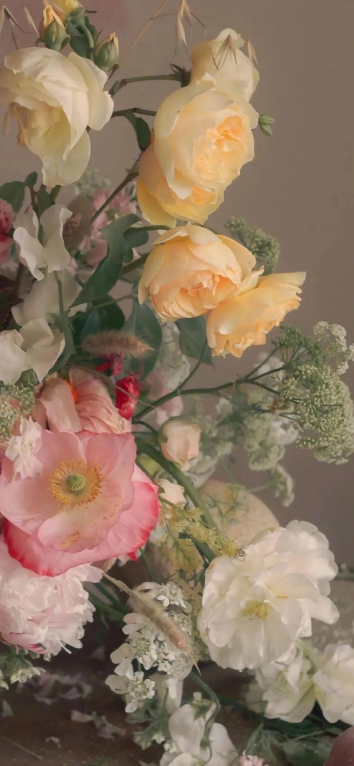 可以永久使用的手机壁纸