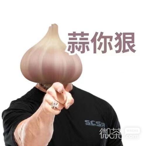 进化版的水果搞笑微信表情包