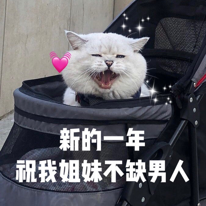 2021新一年的愿望祝愿微信表情包