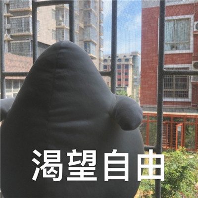 魔性海鸥搞笑微信表情包