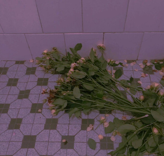 超温柔的紫色控必备的聊天背景图