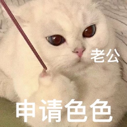 老公想要色色微信表情包