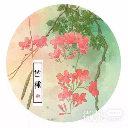 芒种节气微信素材图片