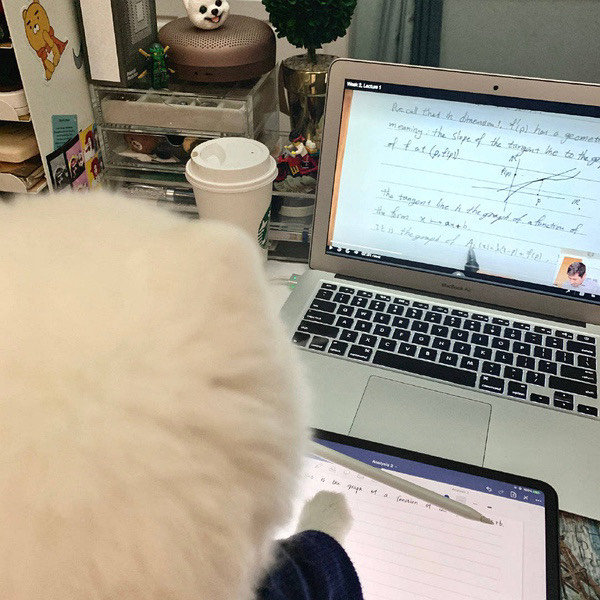 关于学习的套系微信表情包