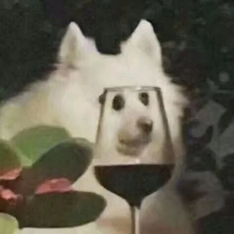 奇奇怪怪的沙雕情侣微信头像