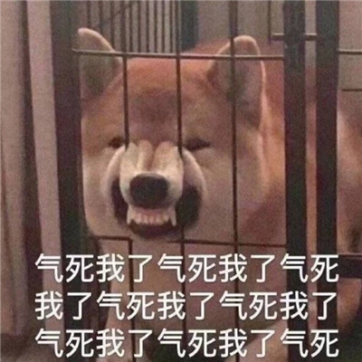 生气暴走不服干架微信表情包