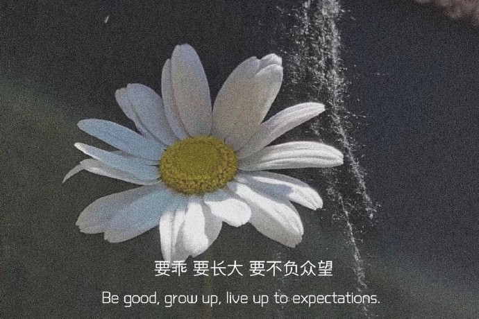 唯美微信聊天背景图