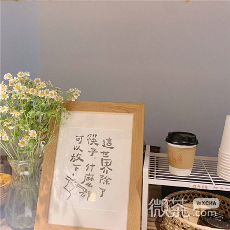 浪漫且小众的微信朋友圈背景图