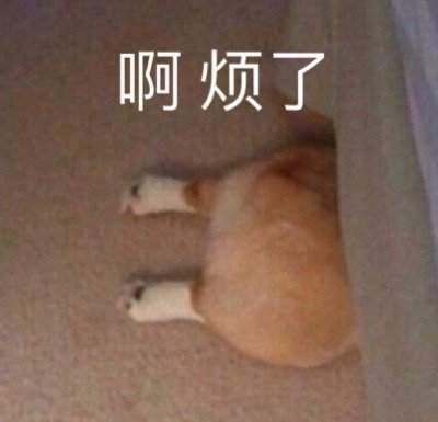 沙雕搞笑好玩斗图微信表情包