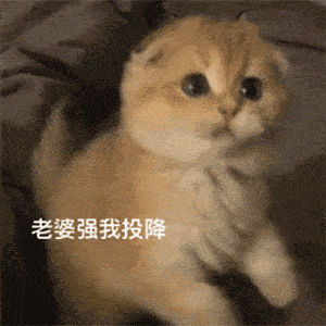可爱猫猫萌萌的动态微信表情包