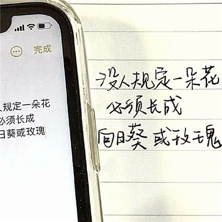 好看又很日常的朋友圈背景