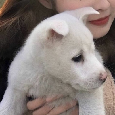 甜美范儿的闺蜜微信头像