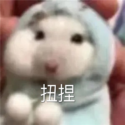 很欢乐的又搞怪的表情包