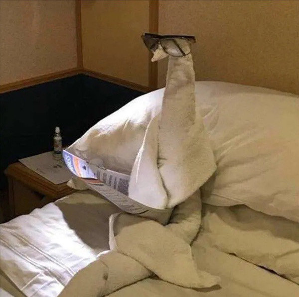 关于学习的套系微信表情包