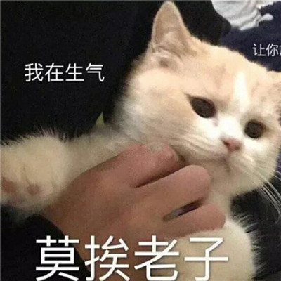 生气暴走不服干架微信表情包