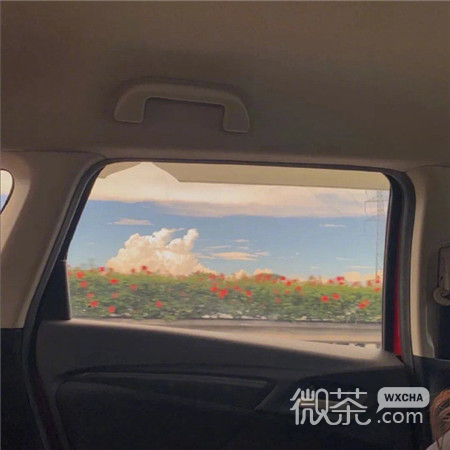 有点孤独伤感的人间微信背景图