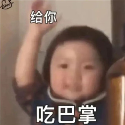全网都很火的趣味表情包