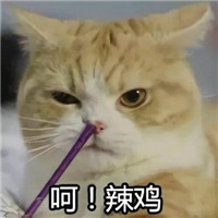 可爱萌萌哒喵星人猫咪情侣头像